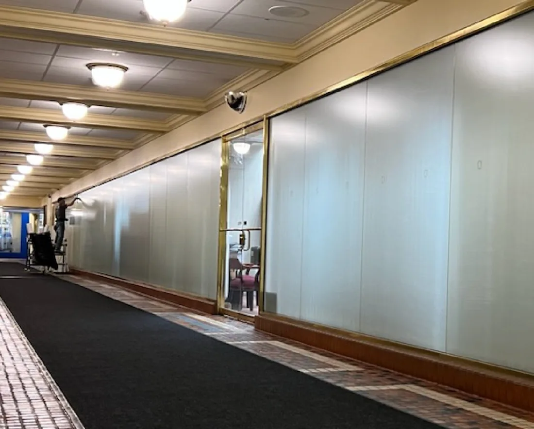 Frost & Privacy window film